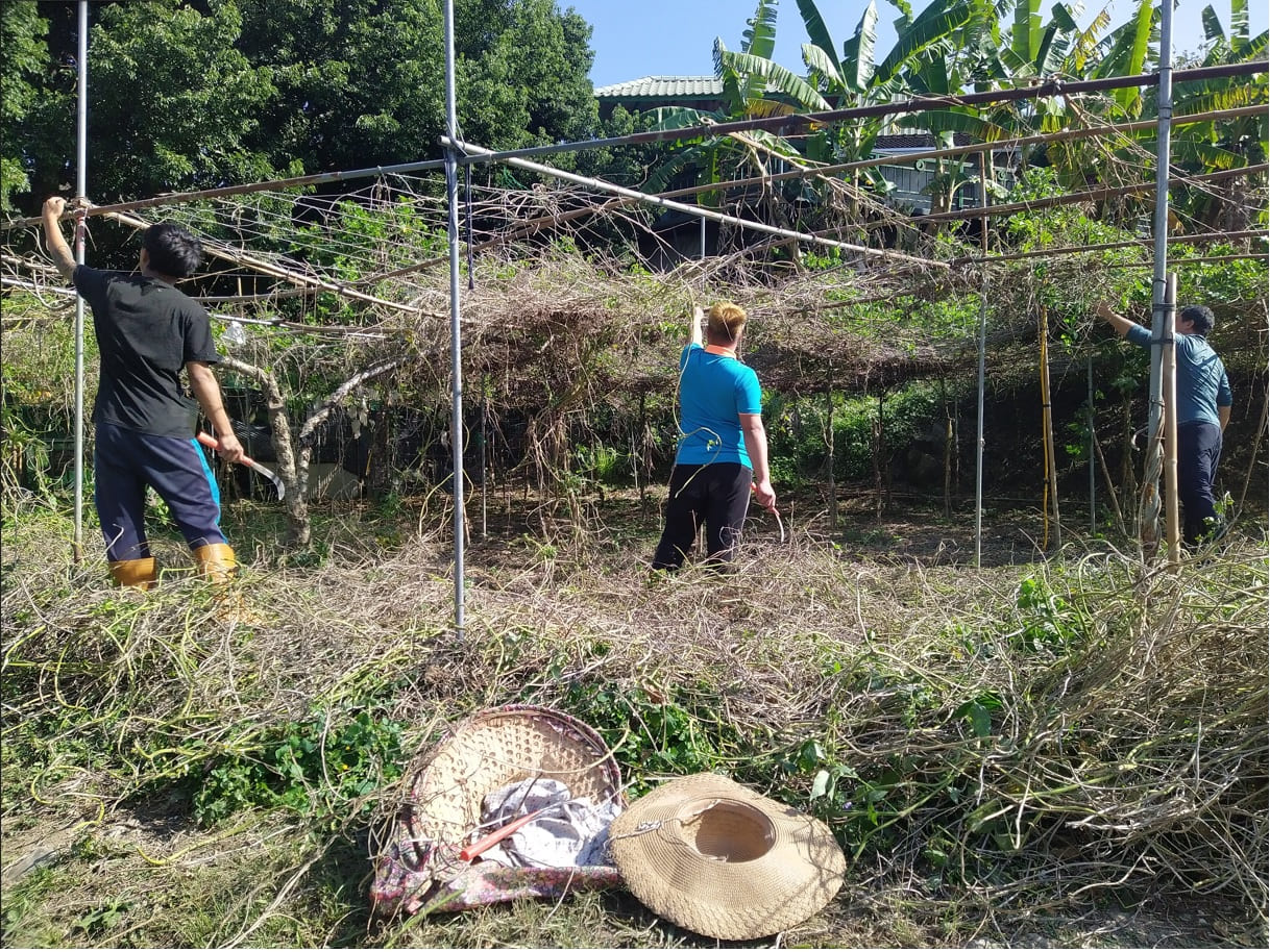 青少年返鄉服務>>2023年暑假版申請開始囉！(標題圖檔)