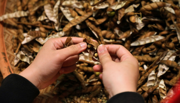 【公告】深耕德瑪汶協會徵人囉！(標題圖檔)