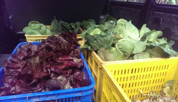 部落。春。青青菜菜(標題圖檔)