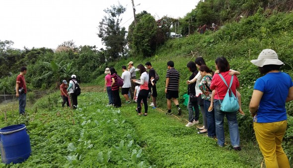 2017 部落。春。青青菜菜(標題圖檔)