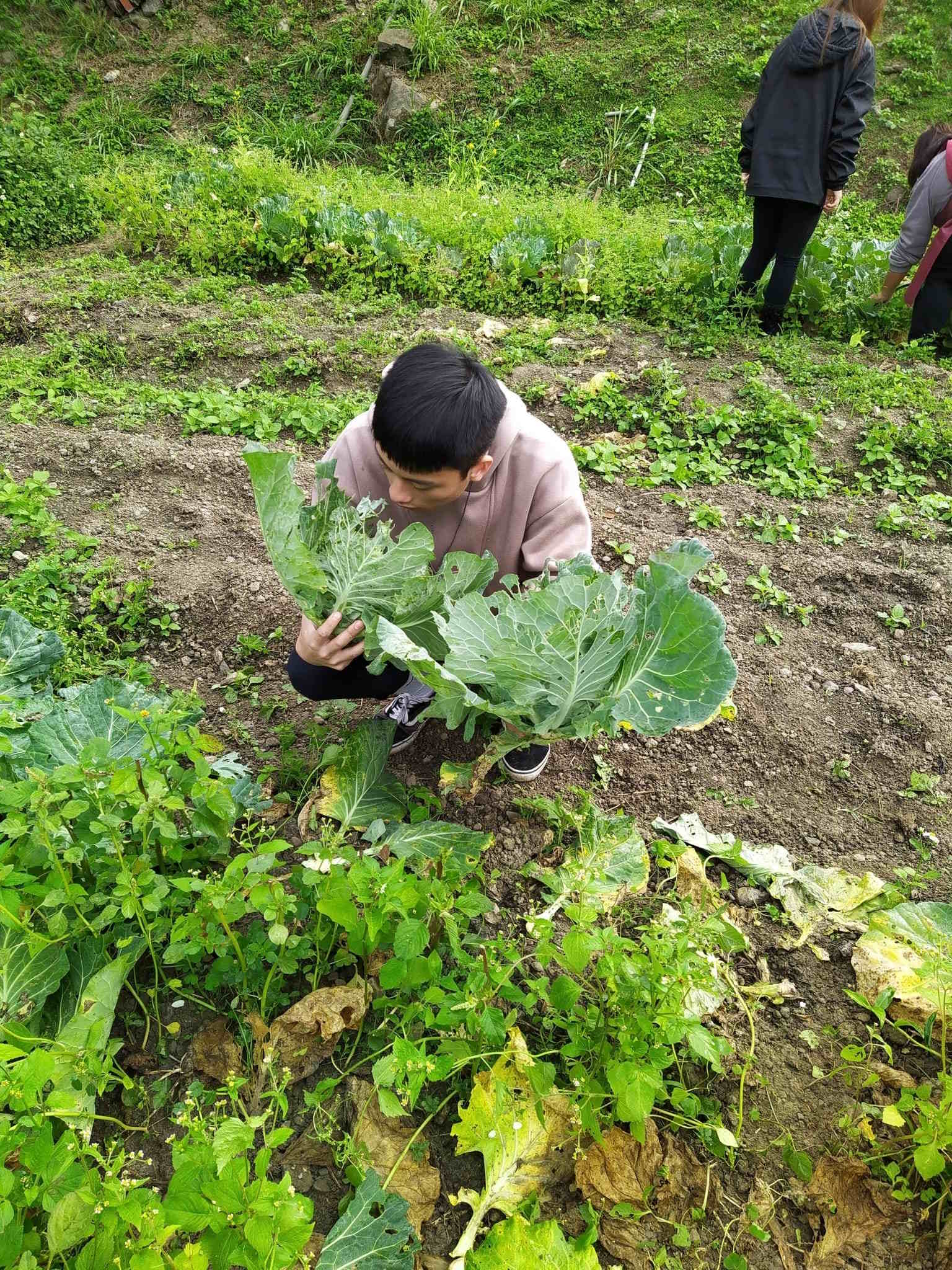 青少年返鄉服務_青年分享會(標題圖檔)
