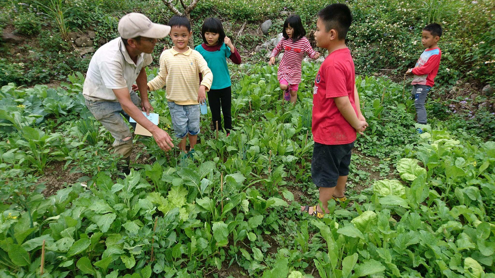 部落廚房新空間、桃山部落新合作_陪讀結業式，歡樂結束!(標題圖檔)