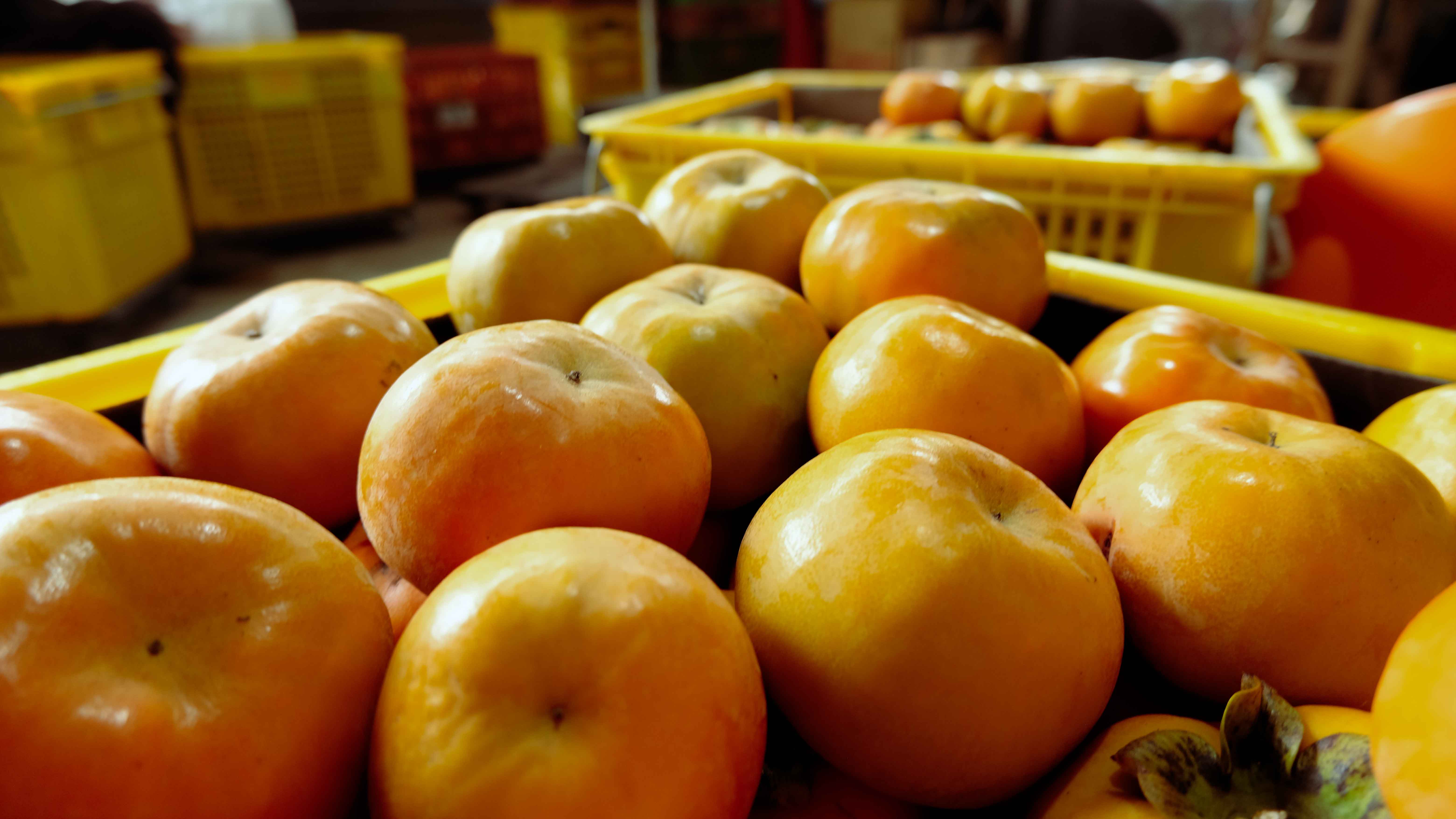 6A箱裝(54粒裝)(標題圖檔)