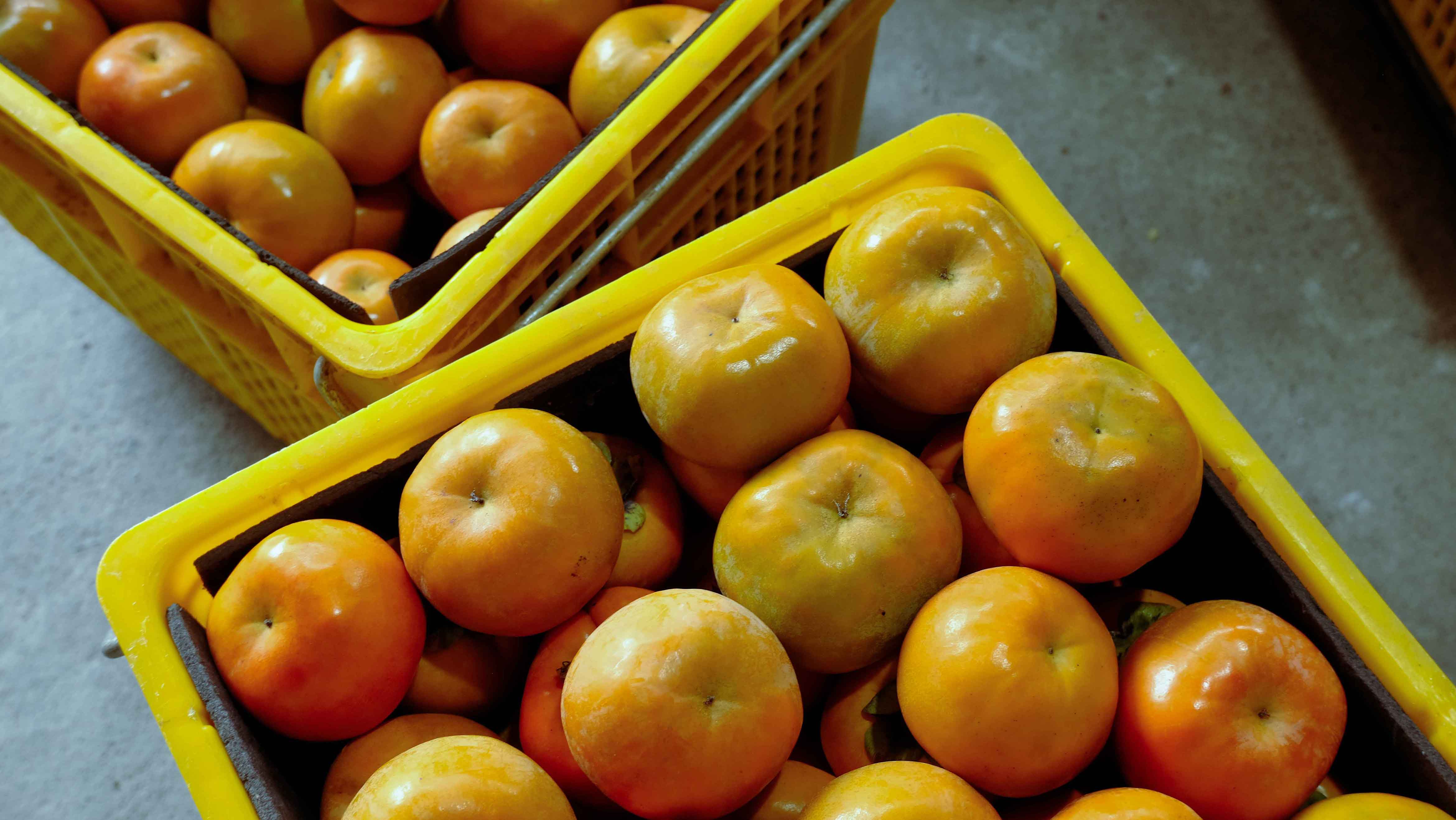 7A箱裝(30粒裝)(標題圖檔)