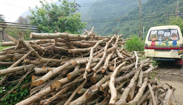 青少年返鄉服務>>2019年寒假版申請開始囉！(標題圖檔)