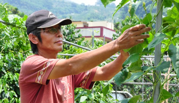 2018部落。夏。青青菜菜～百香果宴來囉!!(標題圖檔)