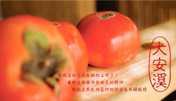 部落秋冬~大安溪畔最重要的”柿”(標題圖檔)