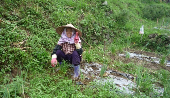 老人活動(標題圖檔)