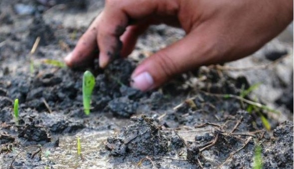 部落廚房產業論壇 歡迎參加(標題圖檔)