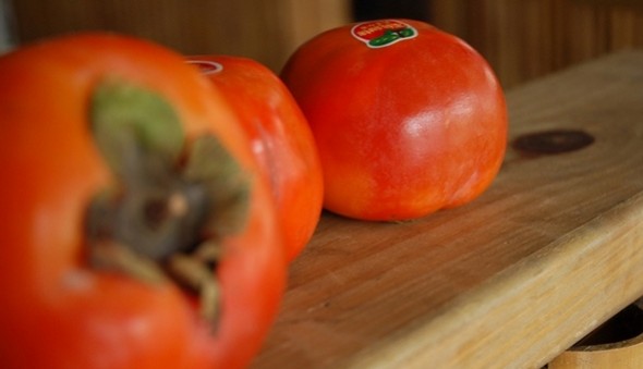 103年 ～ 甜柿紅了 (標題圖檔)