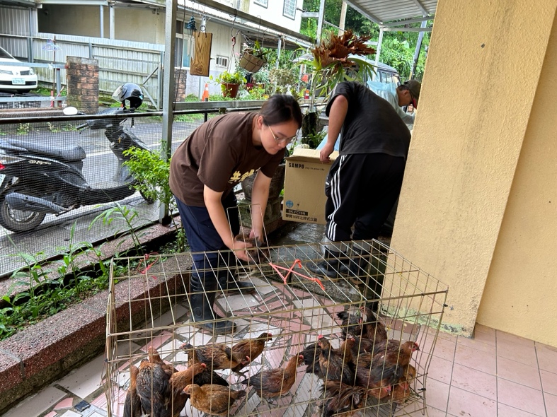 我的社工實習：有人，還有雞~(標題圖檔)